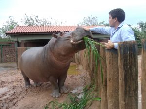 Hipopótamo é uma das atrações no Dia Mundial do Meio Ambiente na Cidade da Criança