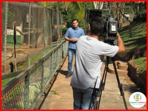 Entrevista para a TV Fronteira: Reprodução de animais em extinção no zoológico