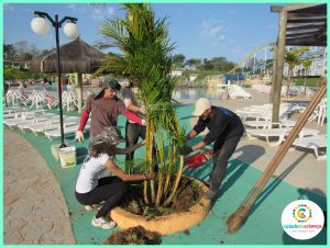 Paisagismo do Parque Aquático Cidade da Criança ganha novas plantas