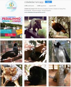 5 motivos para você seguir o Instagram da Cidade da Criança