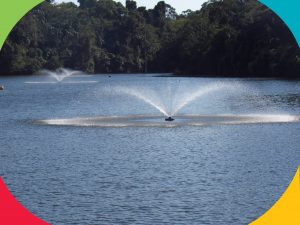 Dois novos aeradores são instalados no lago para aumentar teor de oxigênio da água