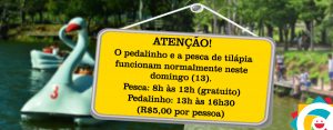 Pesca de tilápia e pedalinhos funcionam em horário normal neste domingo