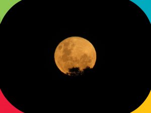 Observação da Superlua Azul reúne admiradores na Cidade da Criança