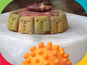 Fêmea de cachorro-do-mato completa 5 anos na Cidade da Criança