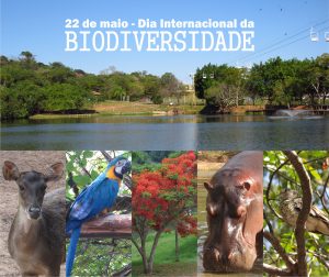 Este ano o Dia Internacional da Biodiversidade é dedicado ao Turismo Sustentável