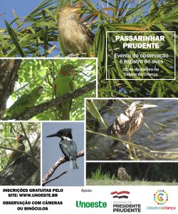 Governo municipal realiza “Passarinhar Prudente”, evento de observação de aves na Cidade da Criança
