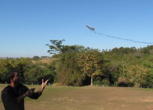 Final de semana na Cidade da Criança terá Festival de Pipas e Turma do Chaves