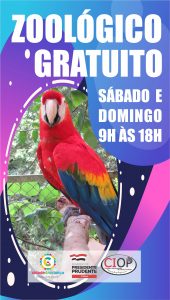 Programação do final de semana na Cidade da Criança