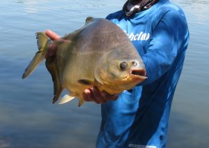 Regulamento Campeonato de Pesca da Cidade da Criança