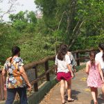 Zoológico da Cidade da Criança passa a funcionar de segunda a sexta-feira