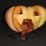 Animais do zoológico da Cidade da Criança celebram Halloween com abóboras decoradas