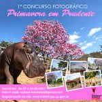Secretaria de Turismo lança 1° Concurso Fotográfico ‘Primavera em Prudente’