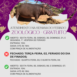 Cidade da Criança terá atendimento especial na véspera do feriado de Finados